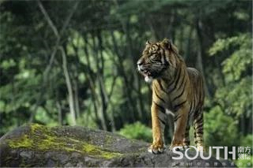 ��ҳ | J9�������޹�˾����